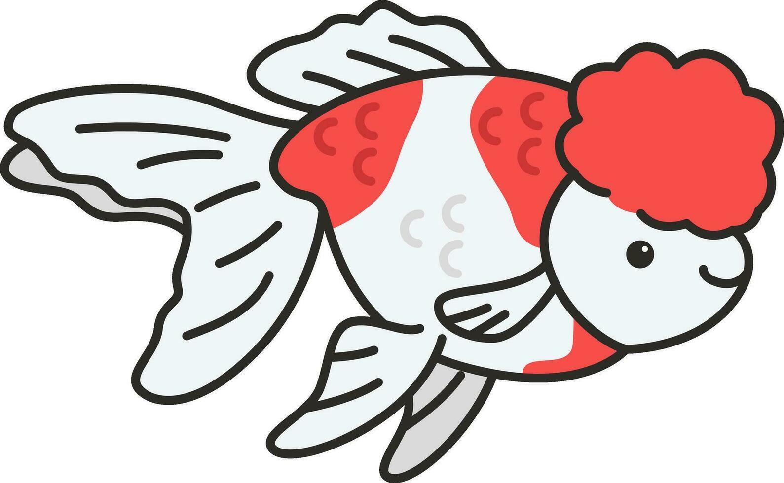 Vector illustration of fantail goldfish. Isolated on a white background.