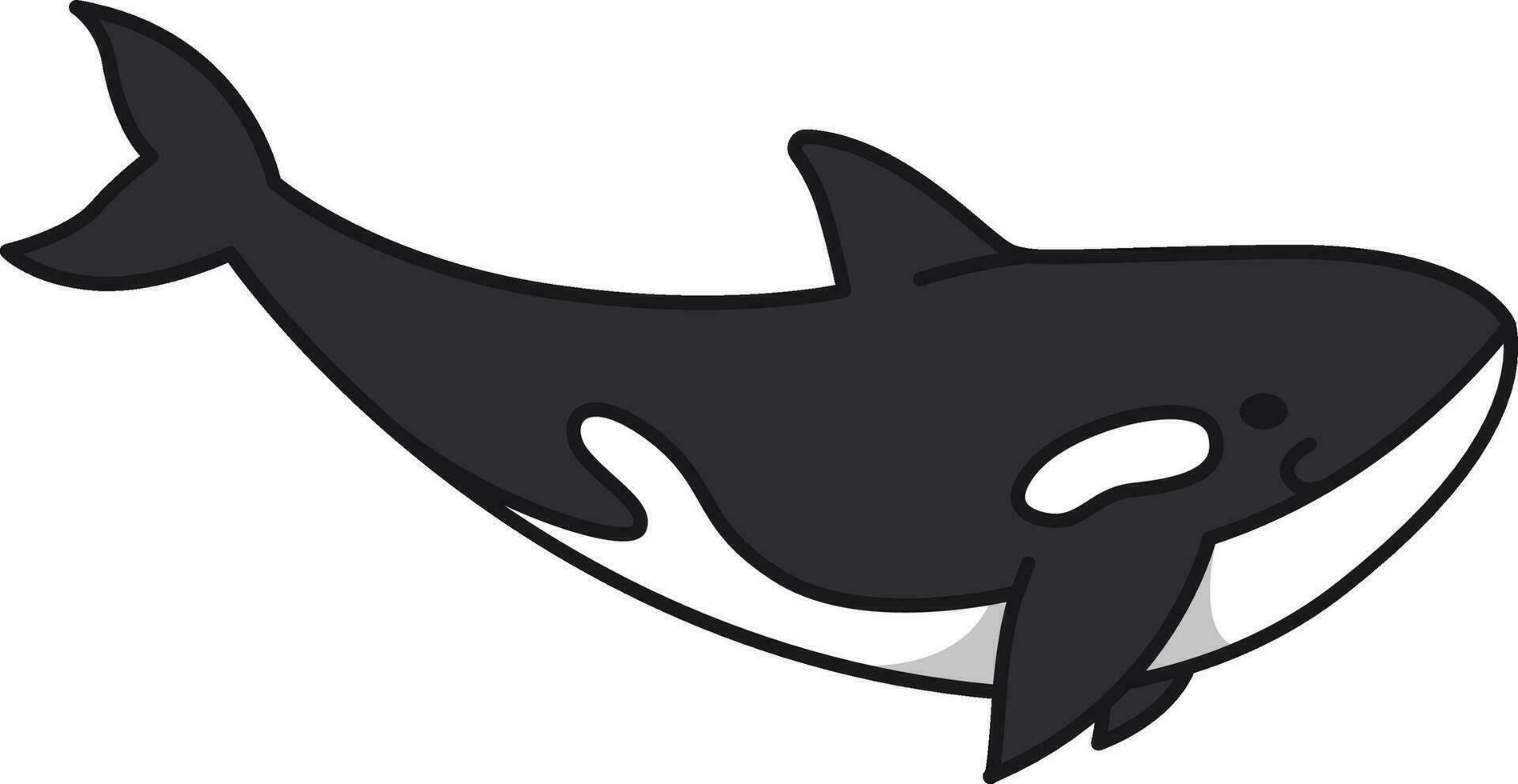 cute orca whale vector