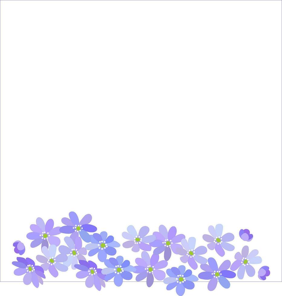 Liverwort beautiful elegant blue purple vibrant spring flowers banner vector