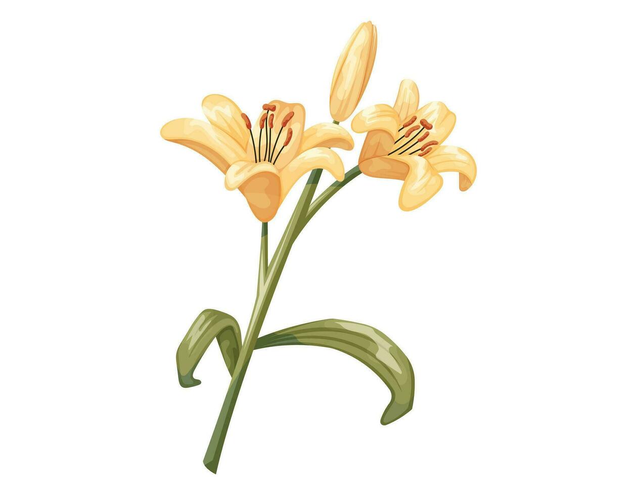 hermosa dibujos animados floreciente amarillo lirio brote. vector aislado ilustración de un flor con vástago y hojas.