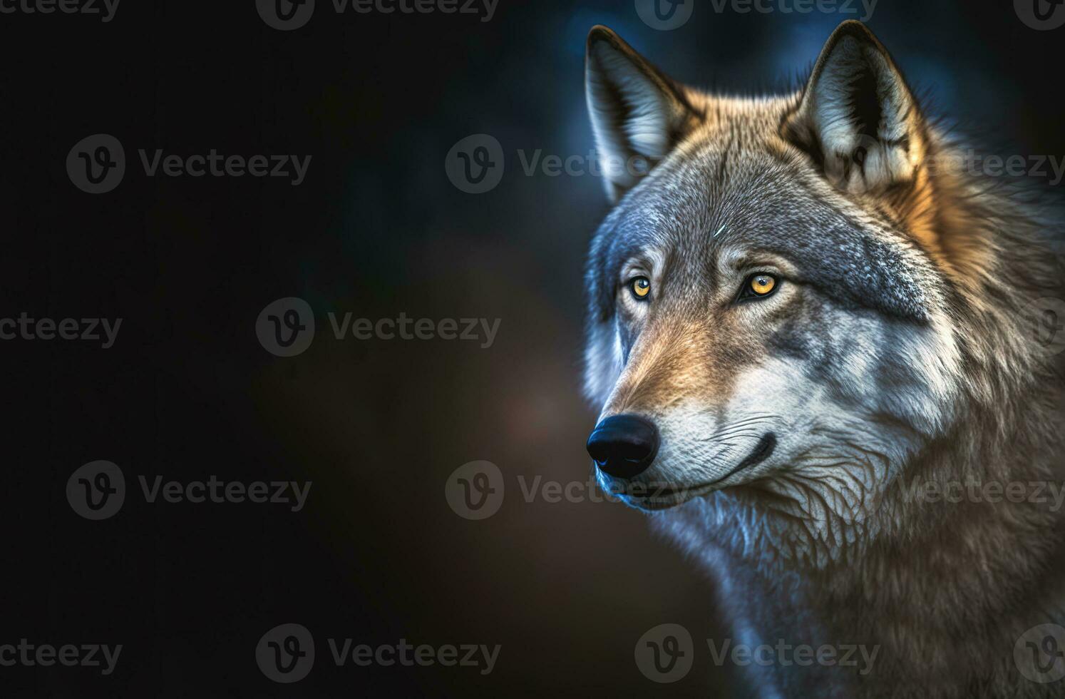 Grey wolf portrait with copy-space, generative AI photo