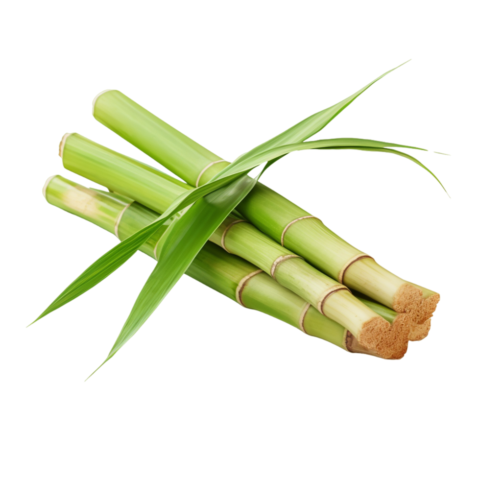 Sugar cane and leaf Ai Generative png