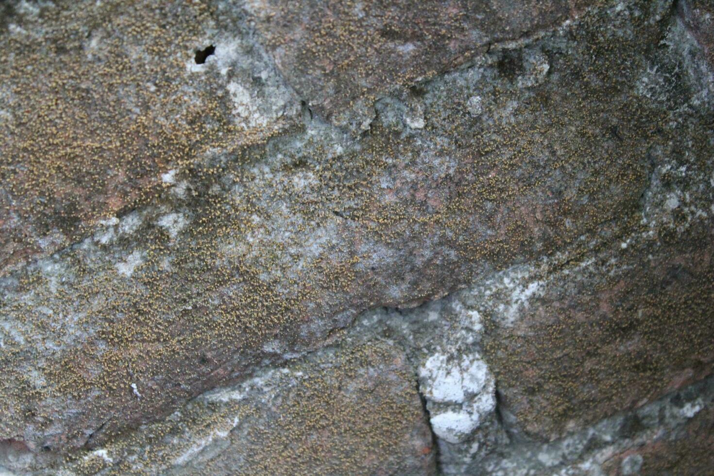 Weathered brick layer wall background, grungy brick texture surface, aged wall texture photo