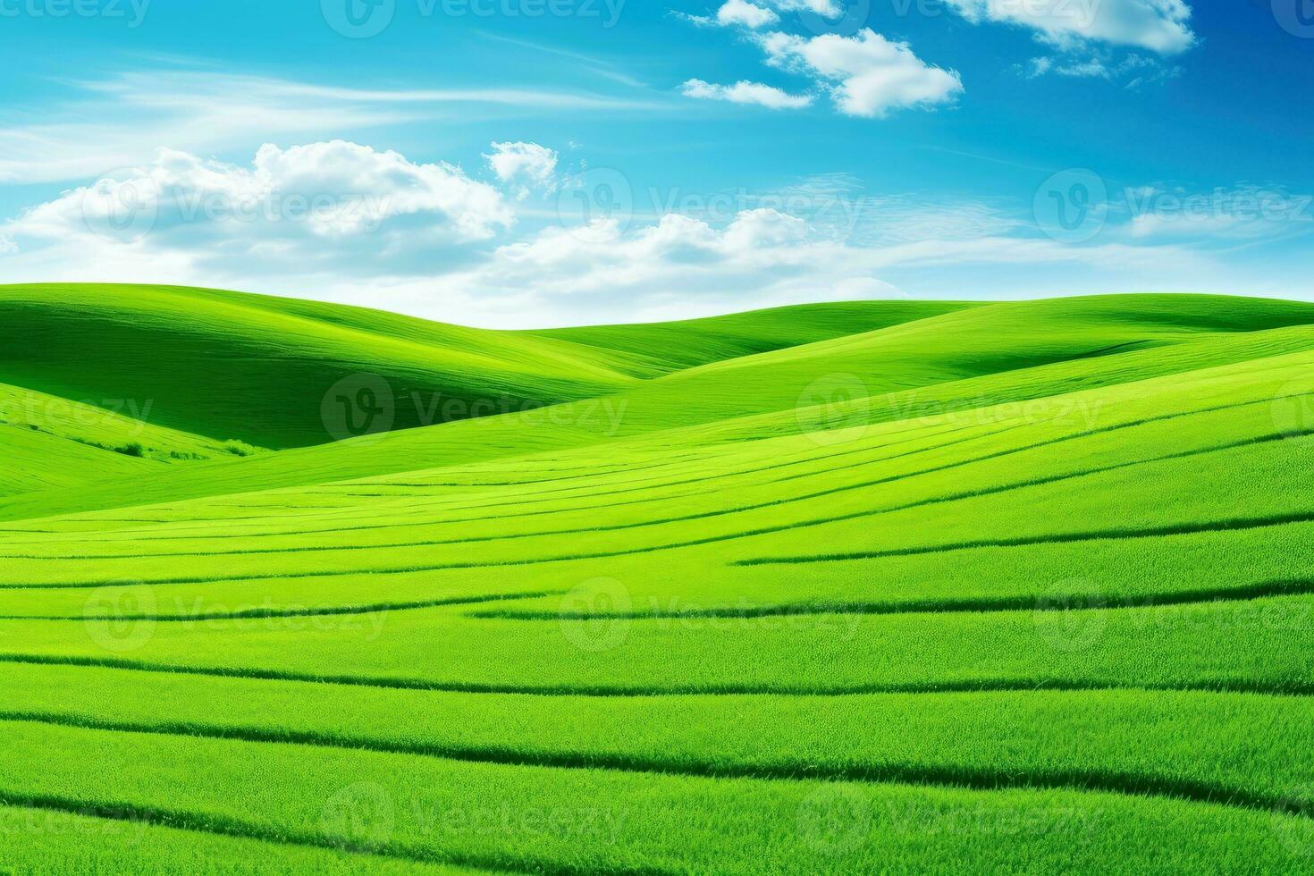 Close up spring grass field with sunlight bokeh background, Generative AI illustration photo