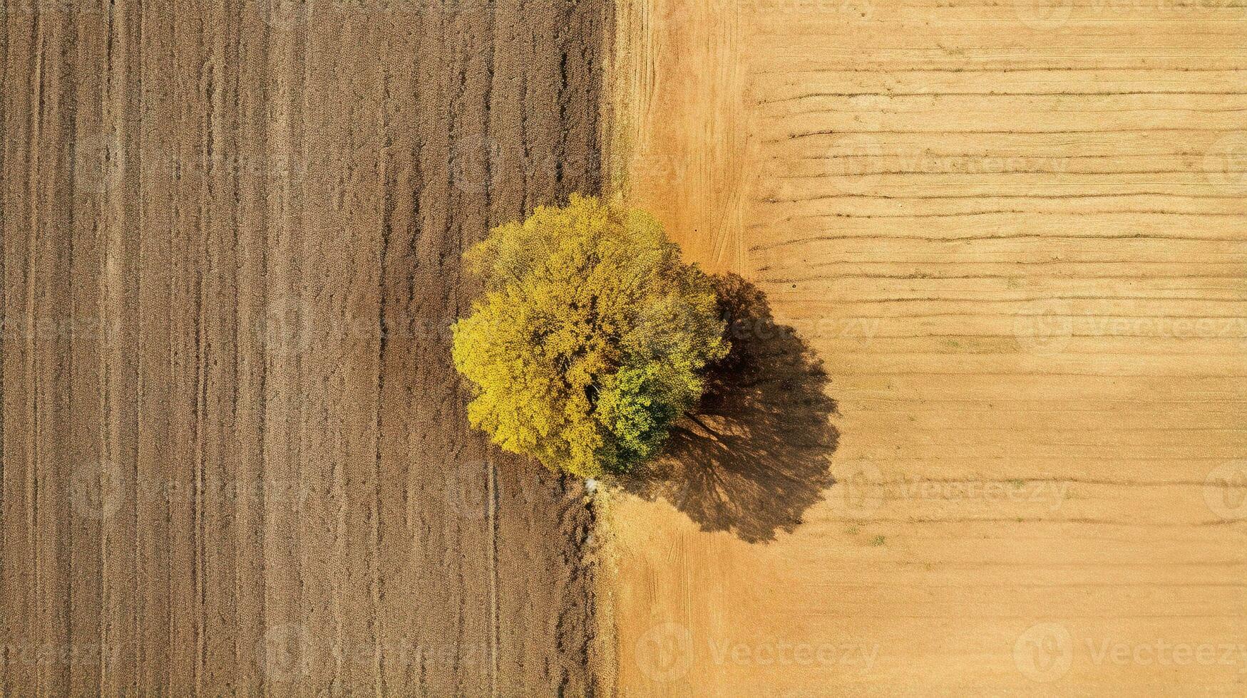 Generative AI, Farm autumn landscape, agricultural fields, beautiful green, yellow, orange and beige countryside, country road. Nature Illustration, photorealistic top view drone. photo