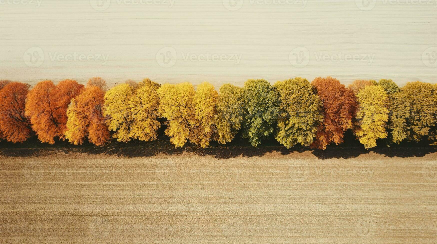Generative AI, Farm autumn landscape, agricultural fields, beautiful green, yellow, orange and beige countryside, country road. Nature Illustration, photorealistic top view drone. photo