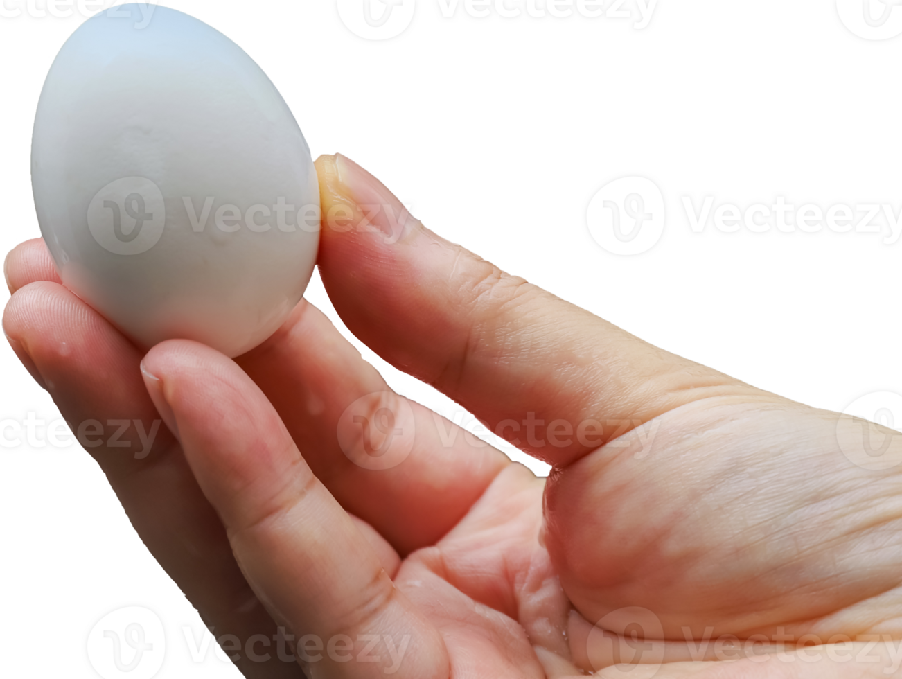 Photo of a human hand holding a boiled egg png