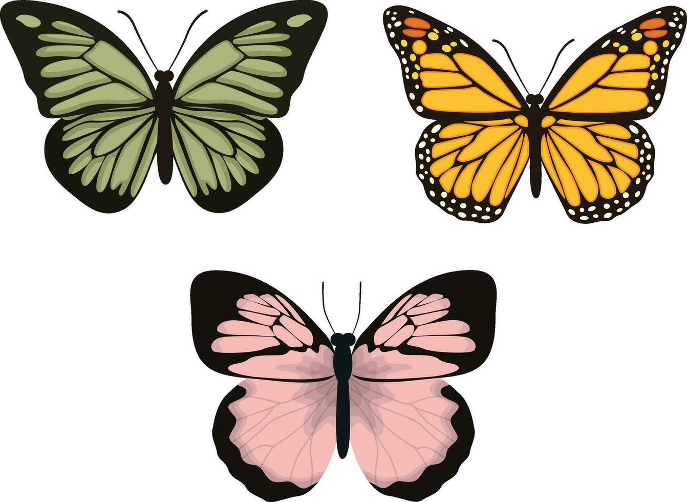 Tropical Butterfly Realistic Vector Illustration