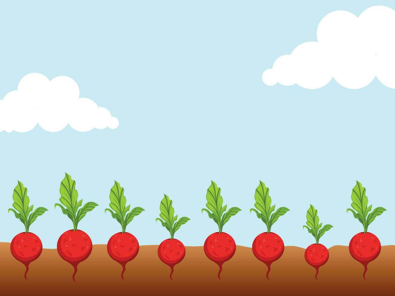 Red round radishes with green leaves harvest farm row planted on soil ground vector illustration isolated on blue sky and clouds horizontal landscape background. Simple flat cartoon art style.