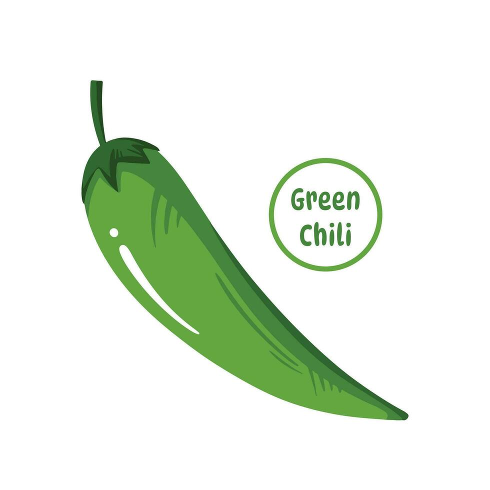 Green chili cooking spice ingredients for hot spicy sensation vector illustration isolated on square white background. Cabe rawit drawing. Simple flat cartoon art styled drawing.