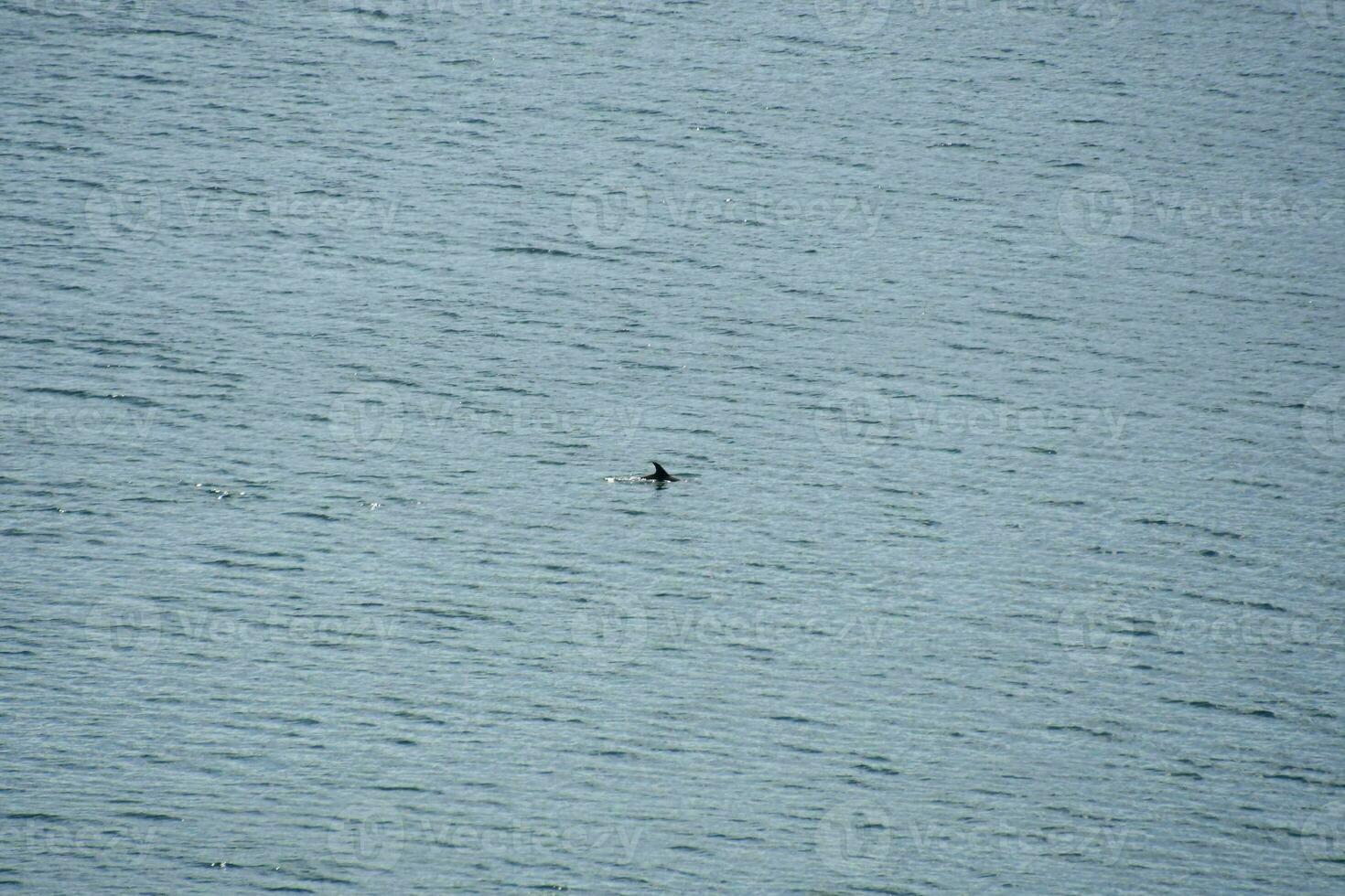 Ripples in the ocean photo