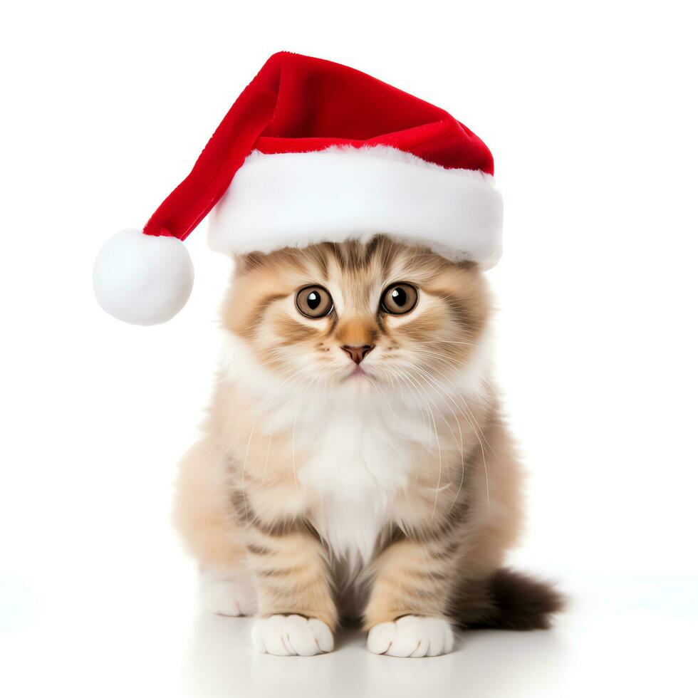 Cute kitten wearing red christmas hat look at camera, isolated on white background, AI Generated photo