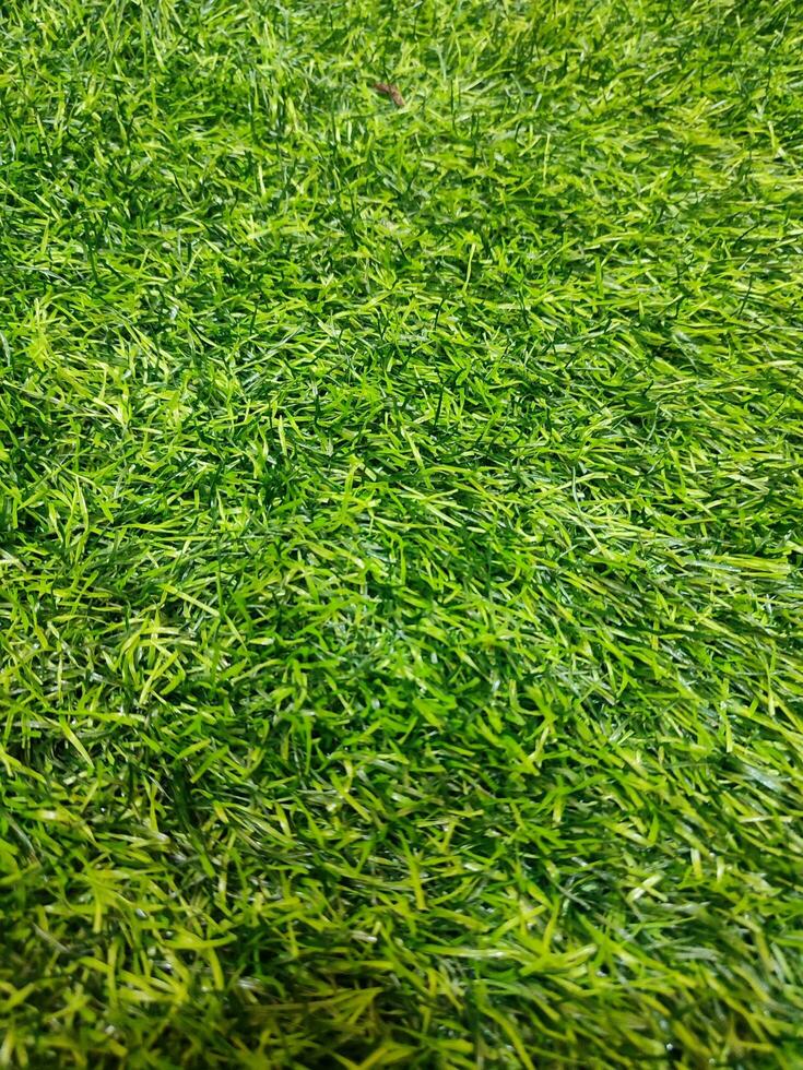 Artificial Grass synthetic grass texture pattern background photo