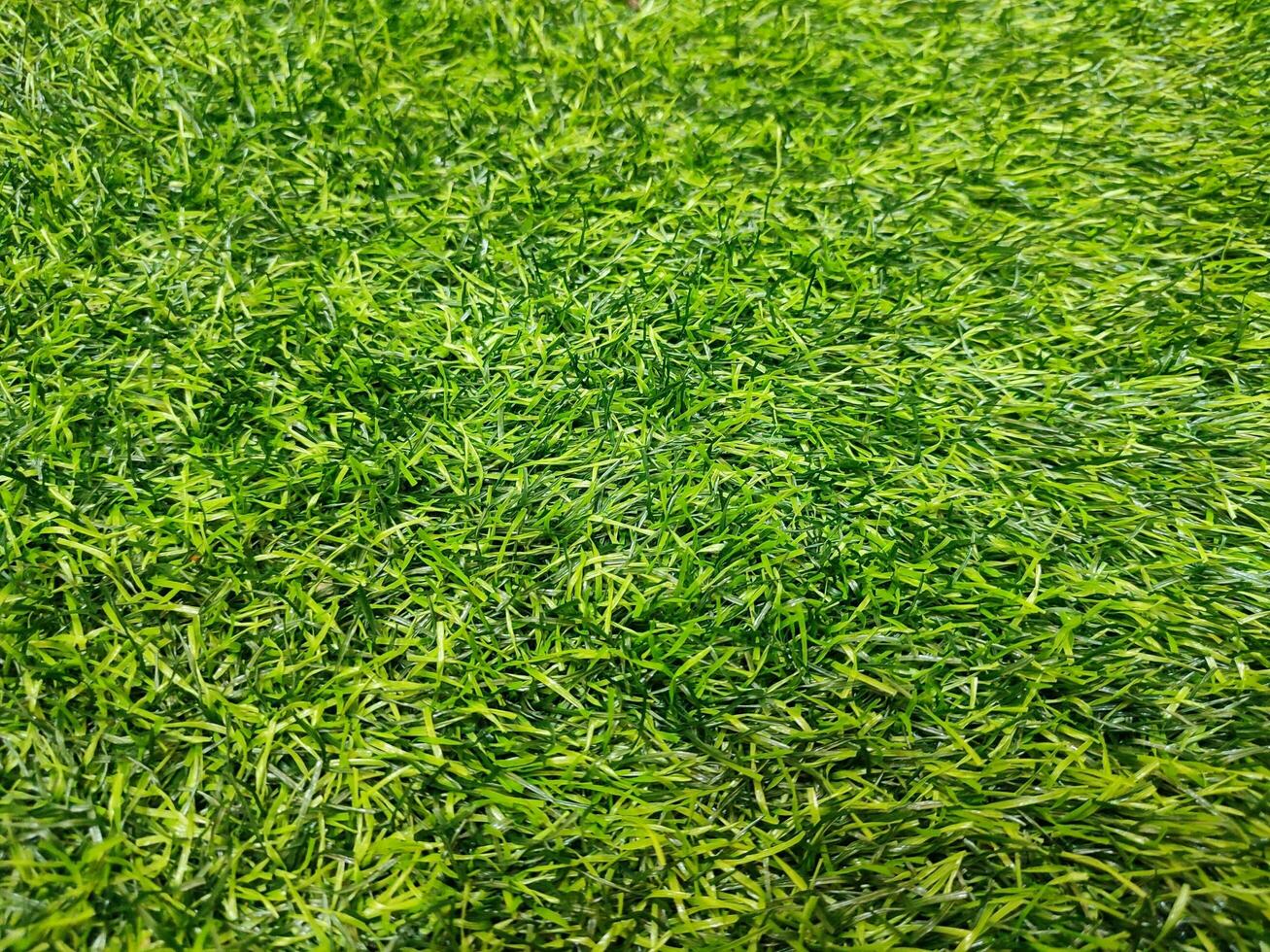 Artificial Grass synthetic grass texture pattern background photo