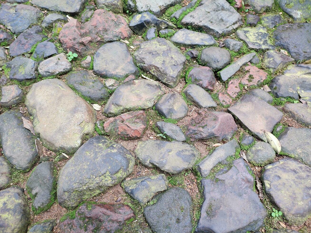 texture, pattern, rocky and mossy road background photo