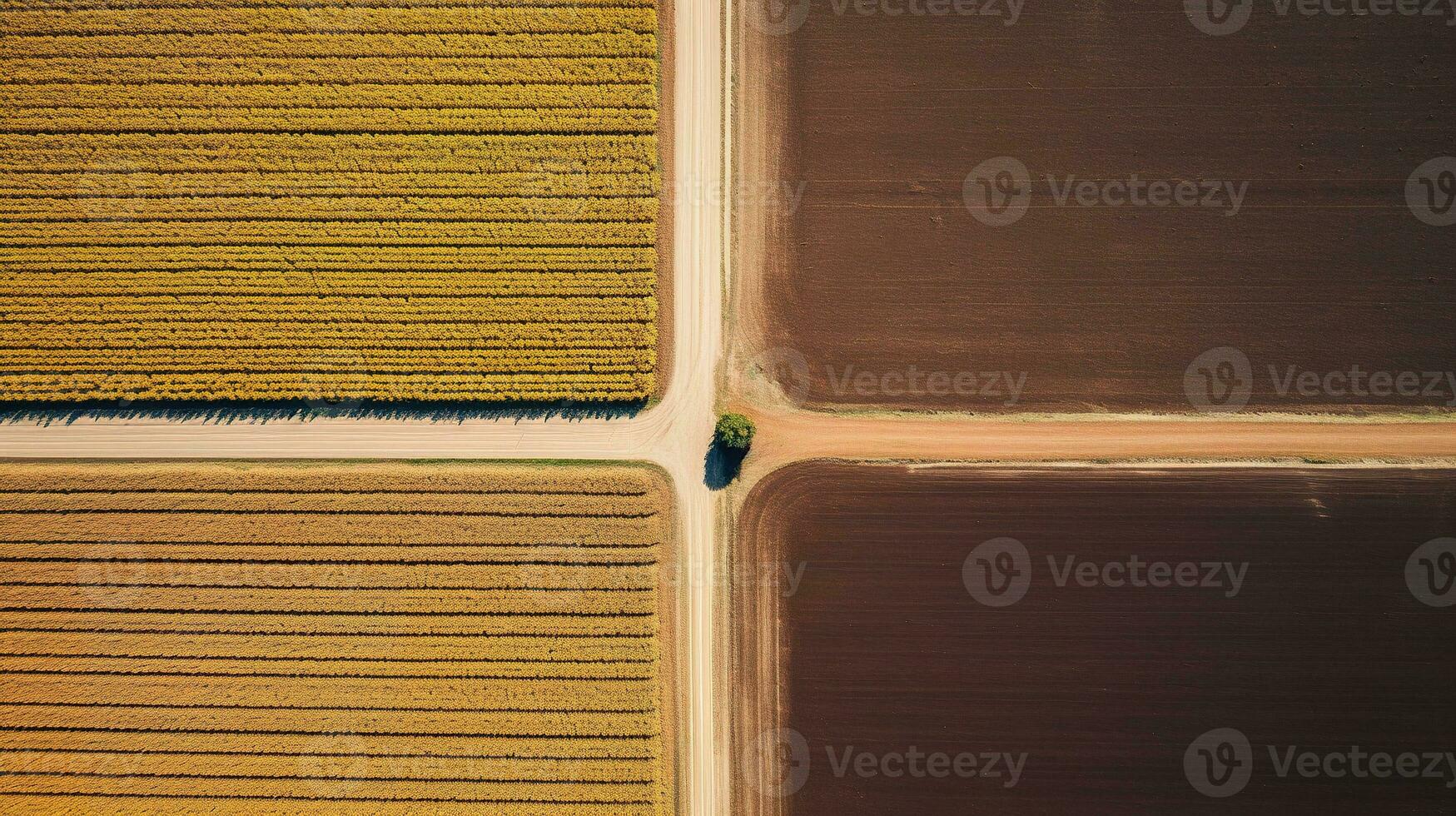 Generative AI, Farm autumn landscape, agricultural fields, beautiful green, yellow, orange and beige countryside, country road. Nature Illustration, photorealistic top view drone. photo