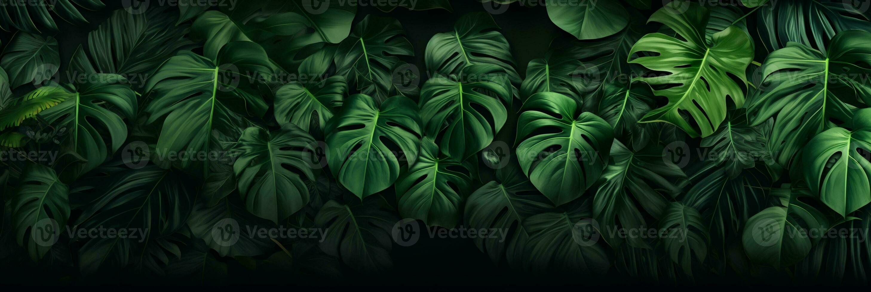 Lush green monstera leaves background, Tropical foliage in nature. Generative ai. photo