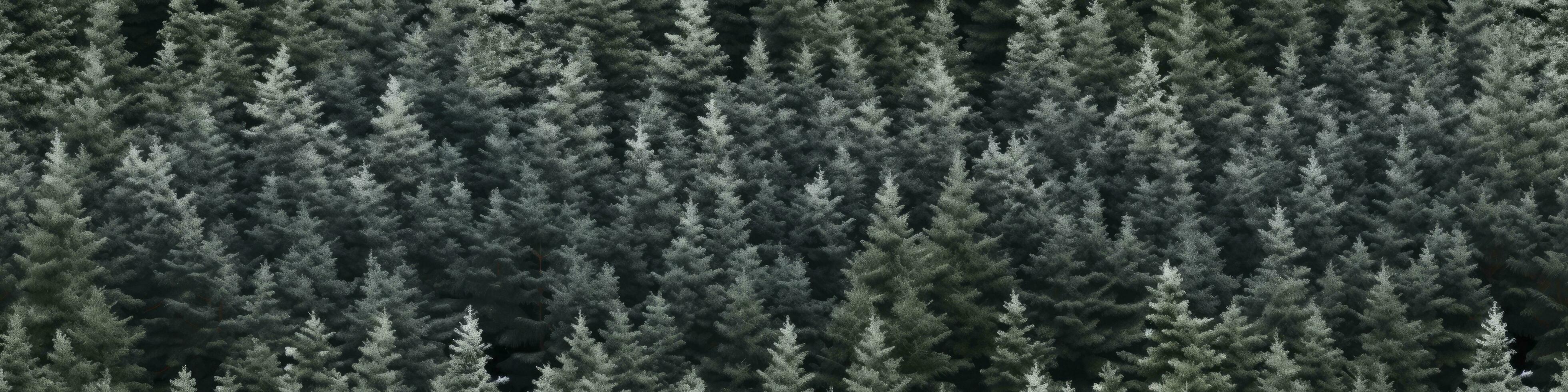 photo of Christmas offers, AI Generated.