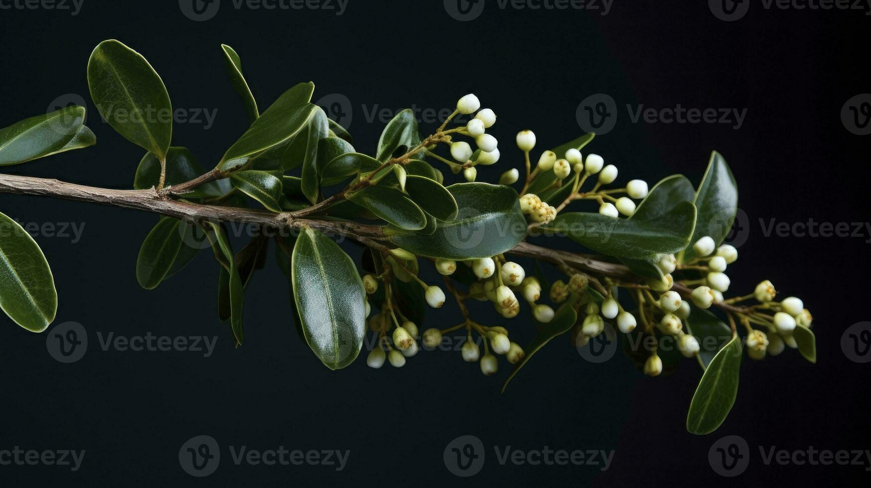 photo of Mistletoe Christmas shopping, AI Generated.