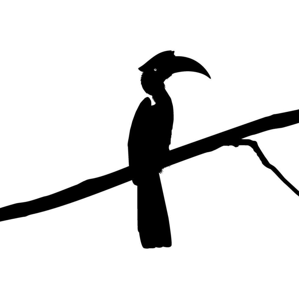 Great Horn Bird Silhouette Perched on the Branch Tree Silhouette. Vector Illustration