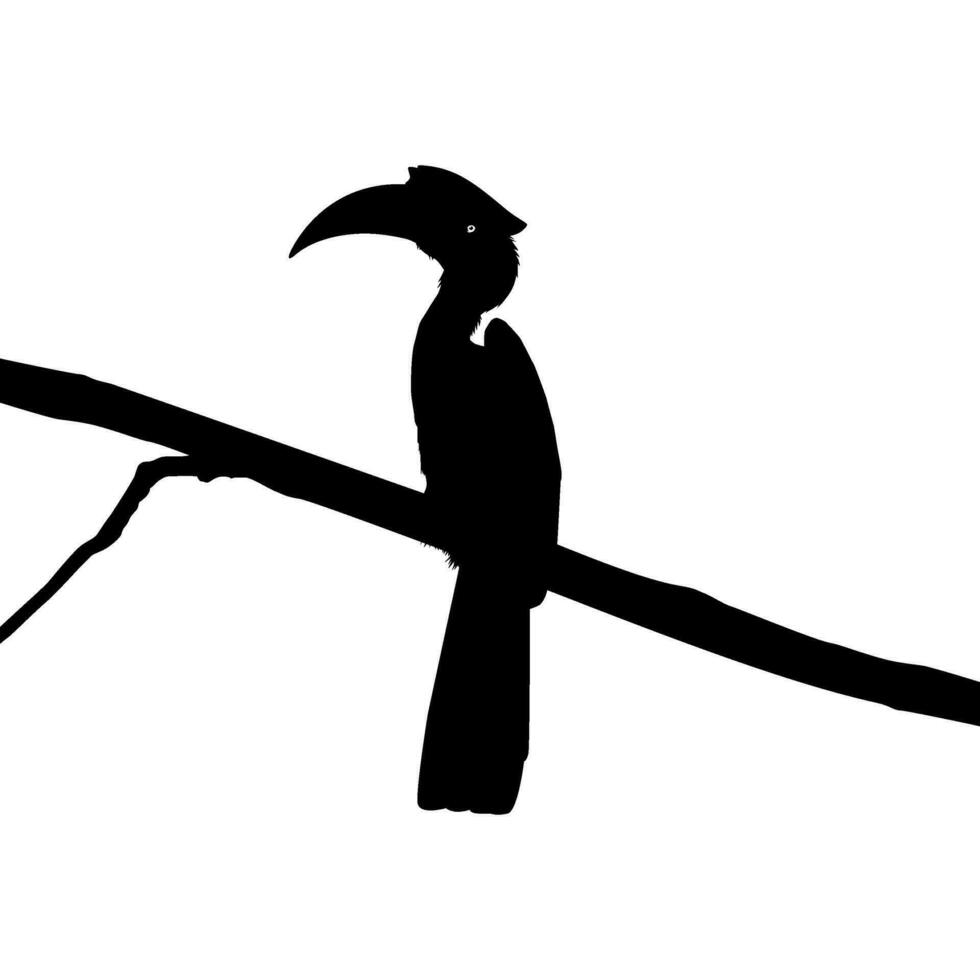Great Horn Bird Silhouette Perched on the Branch Tree Silhouette. Vector Illustration