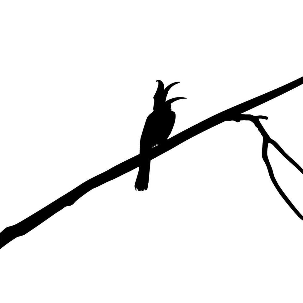 Great Horn Bird Silhouette Perched on the Branch Tree Silhouette. Vector Illustration
