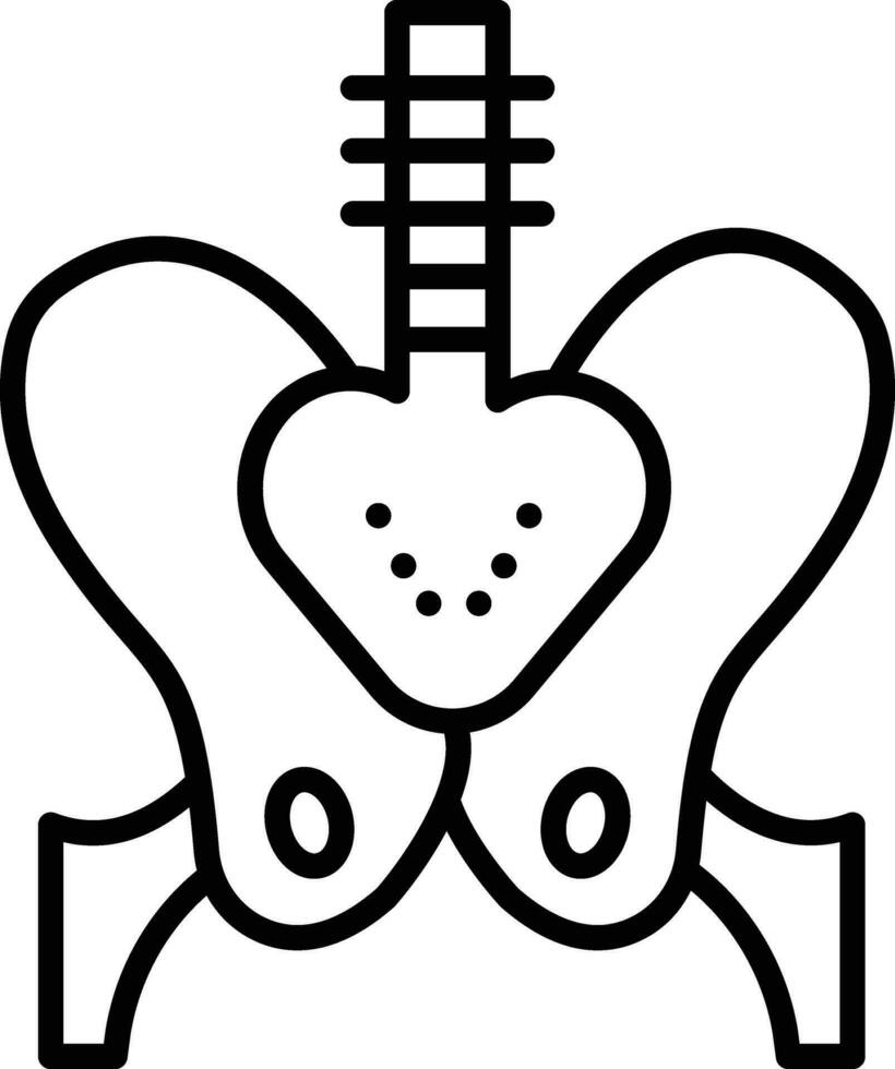 pelvis vector icono