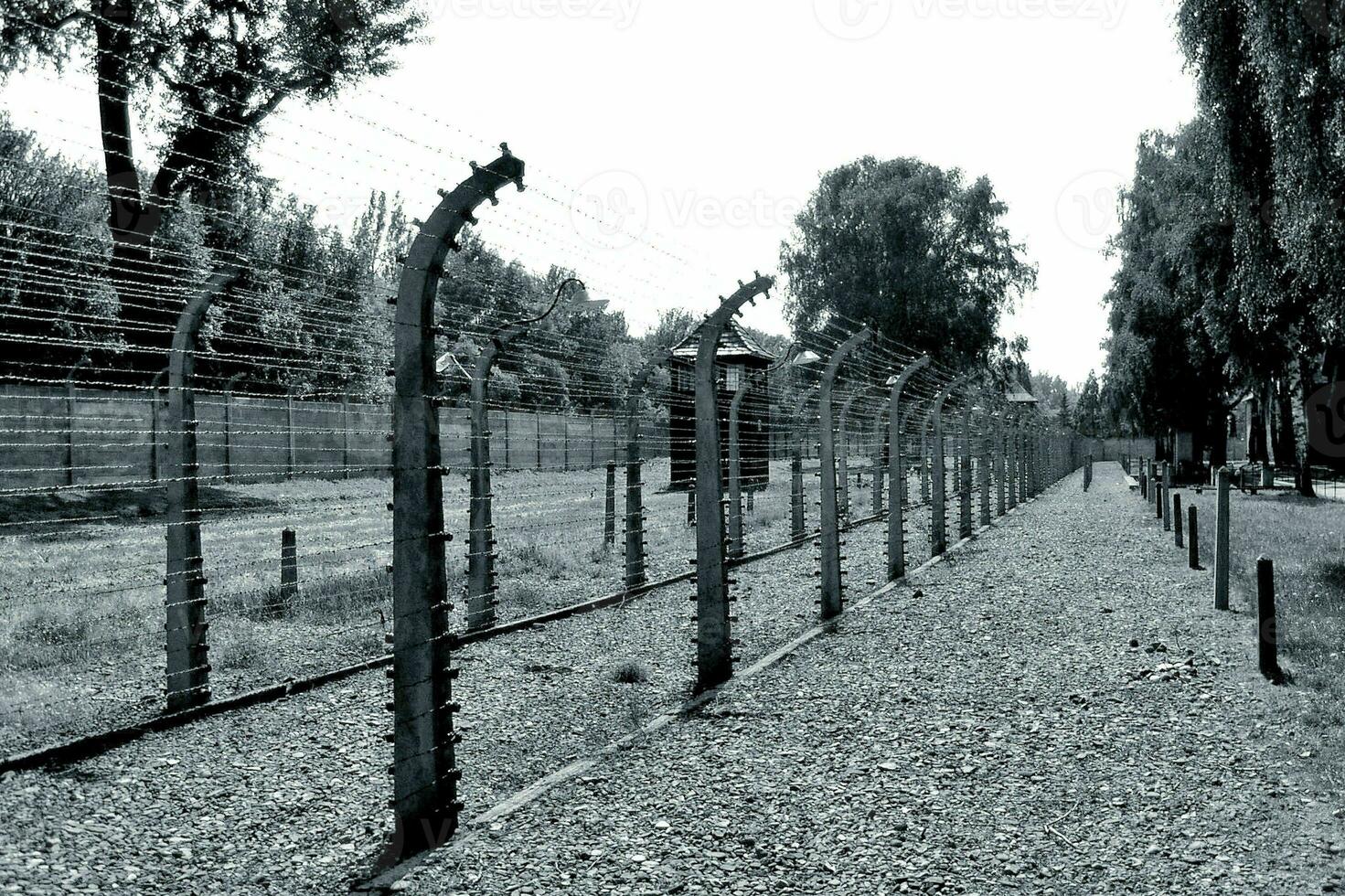 Remembrance Auschwitz Birkenau Concentration and Extermination Camp photo