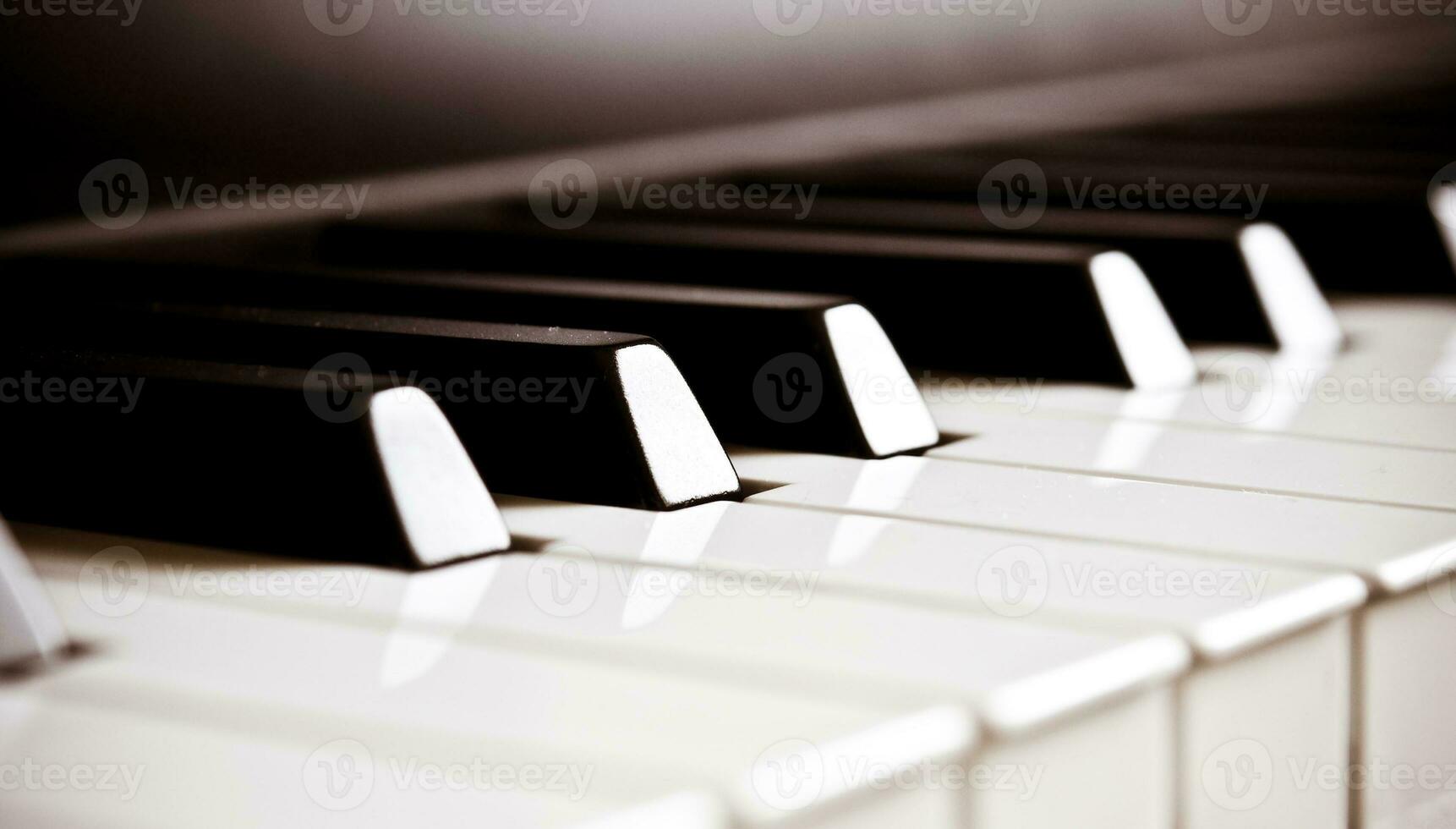Piano Keys   Musical Harmony photo