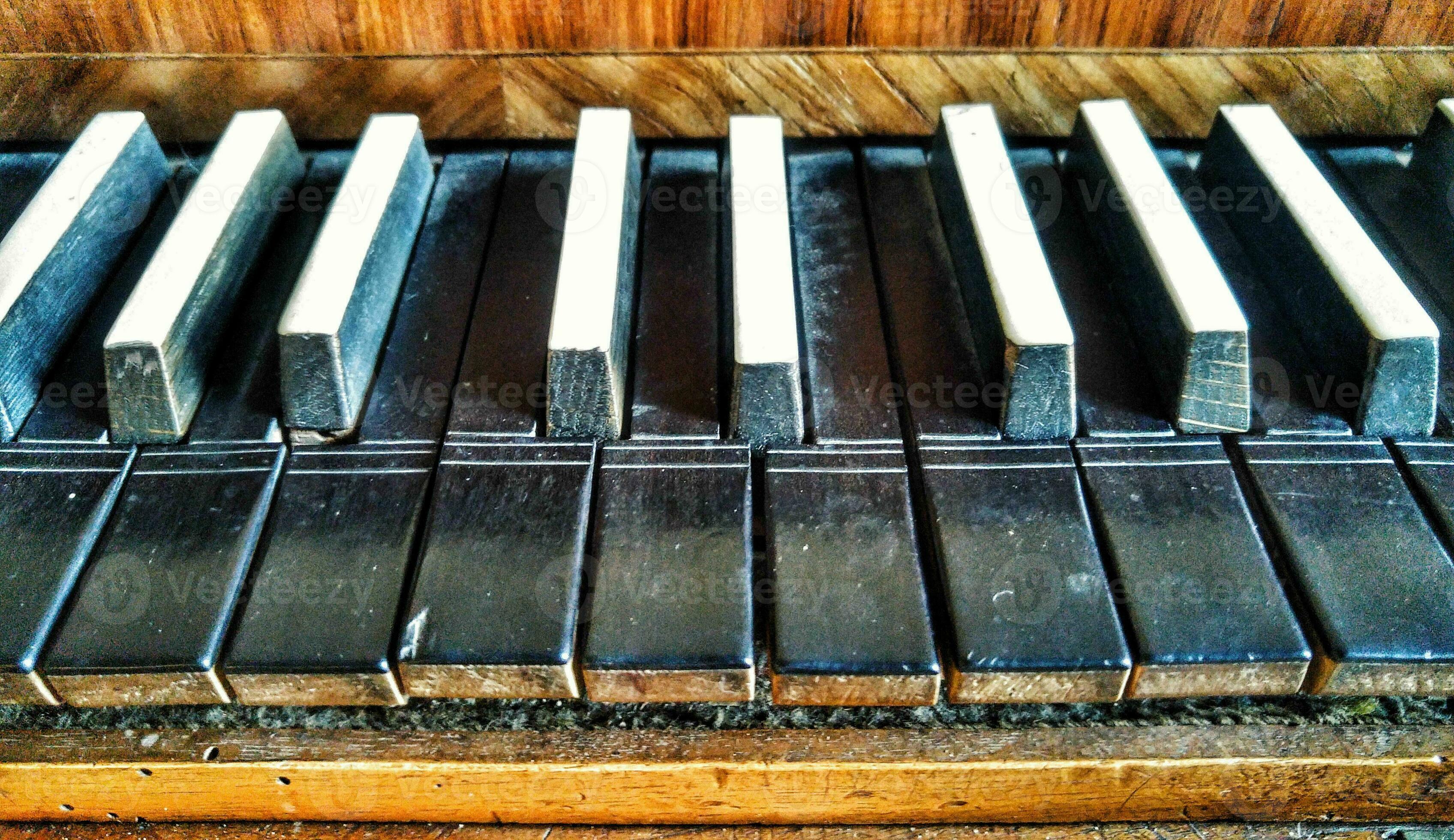 Harpsichord keys on sale