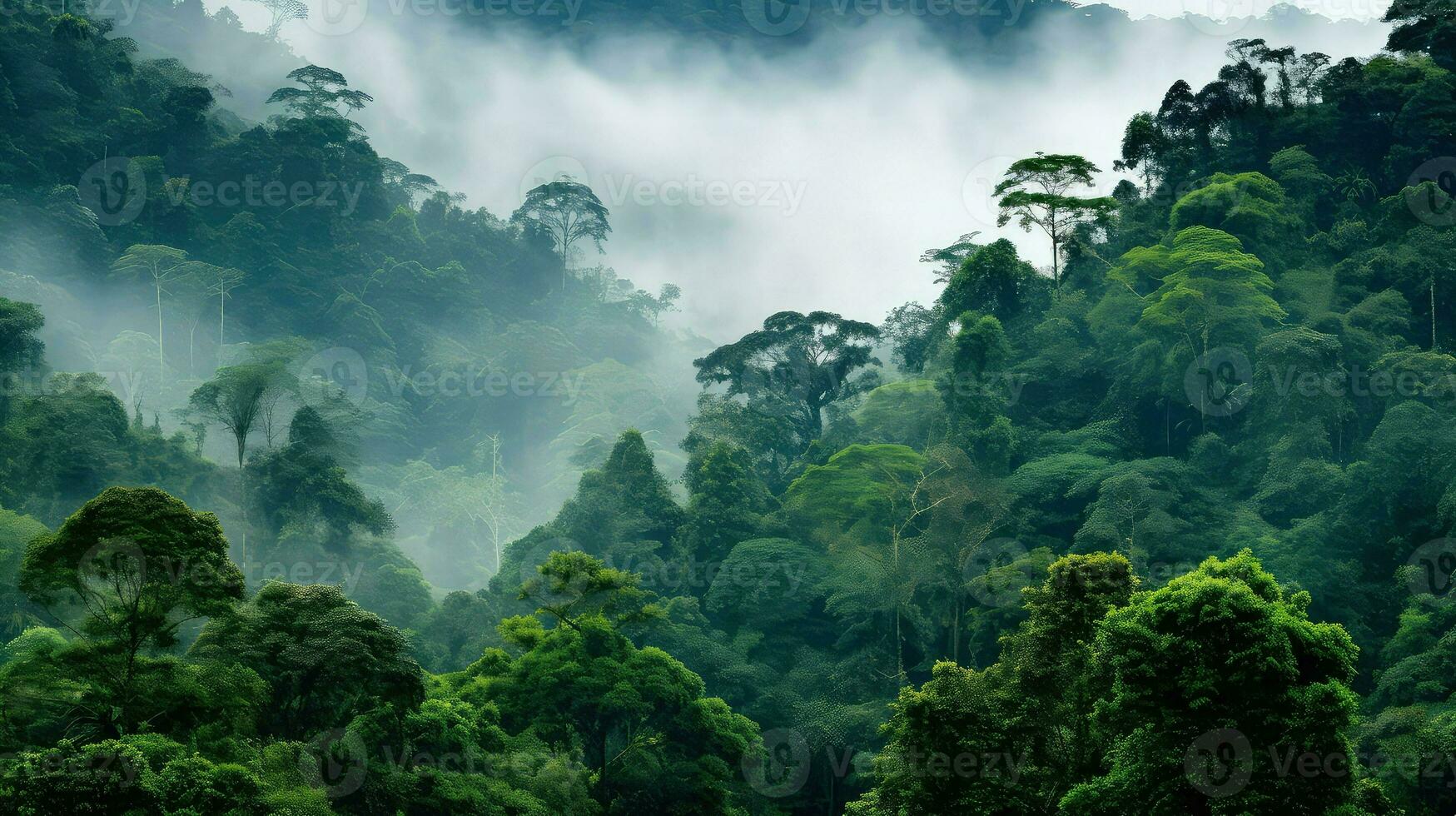 nature honduran cloud forest ai generated photo