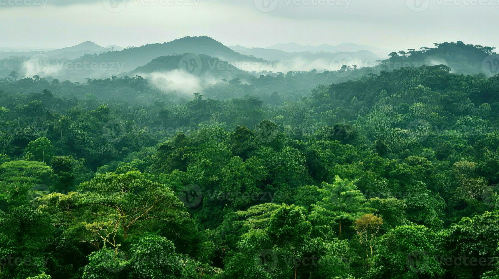 nature ghanaian rainforest west ai generated photo