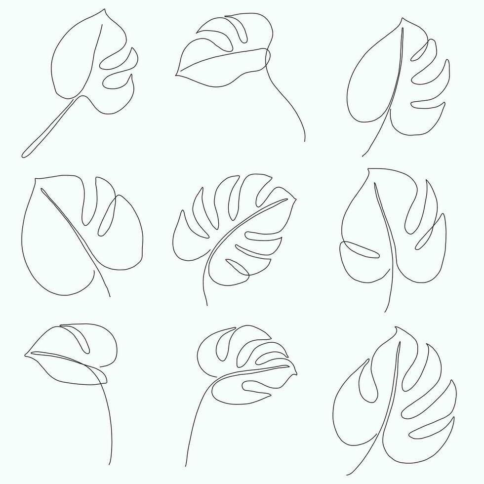 Simplicity monstera leaf freehand continuous line drawing flat design. vector