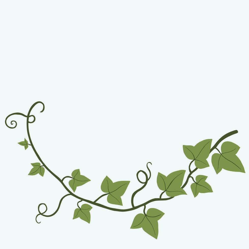 Floral ivy drawing decorative ornament flat design. vector