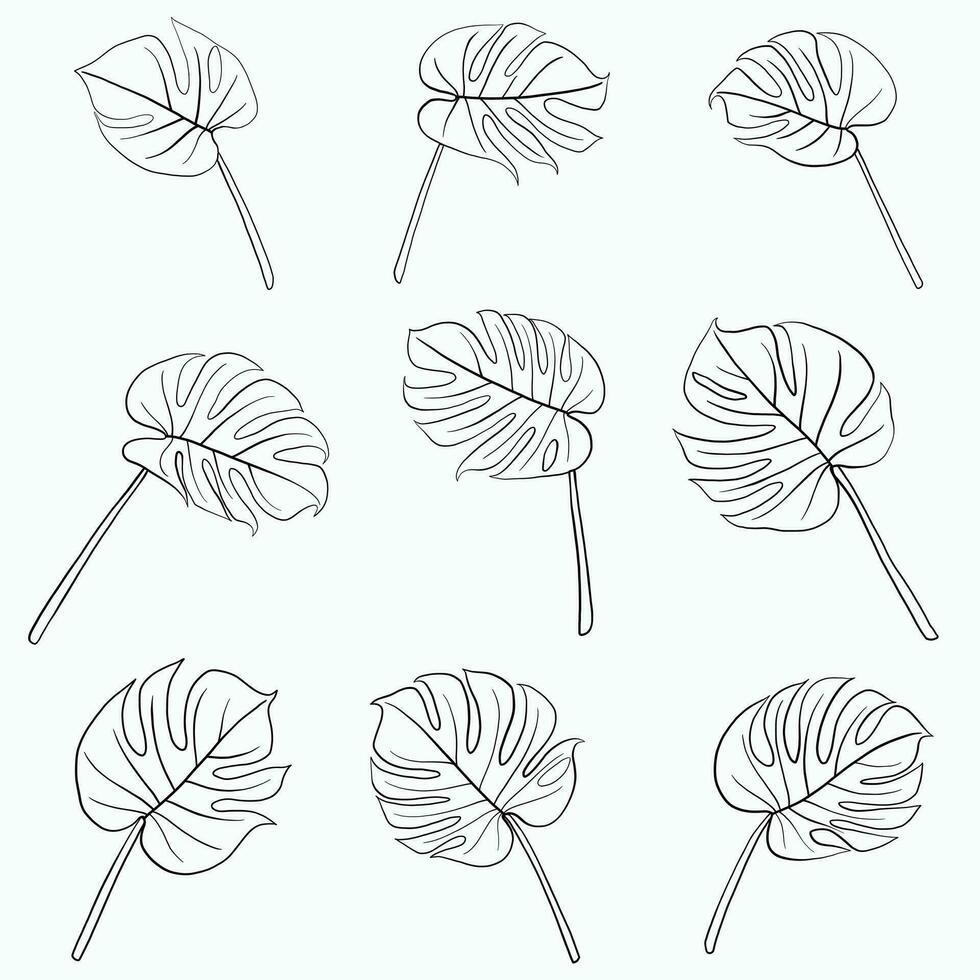 Simplicity monstera leaf freehand continuous line drawing flat design. vector