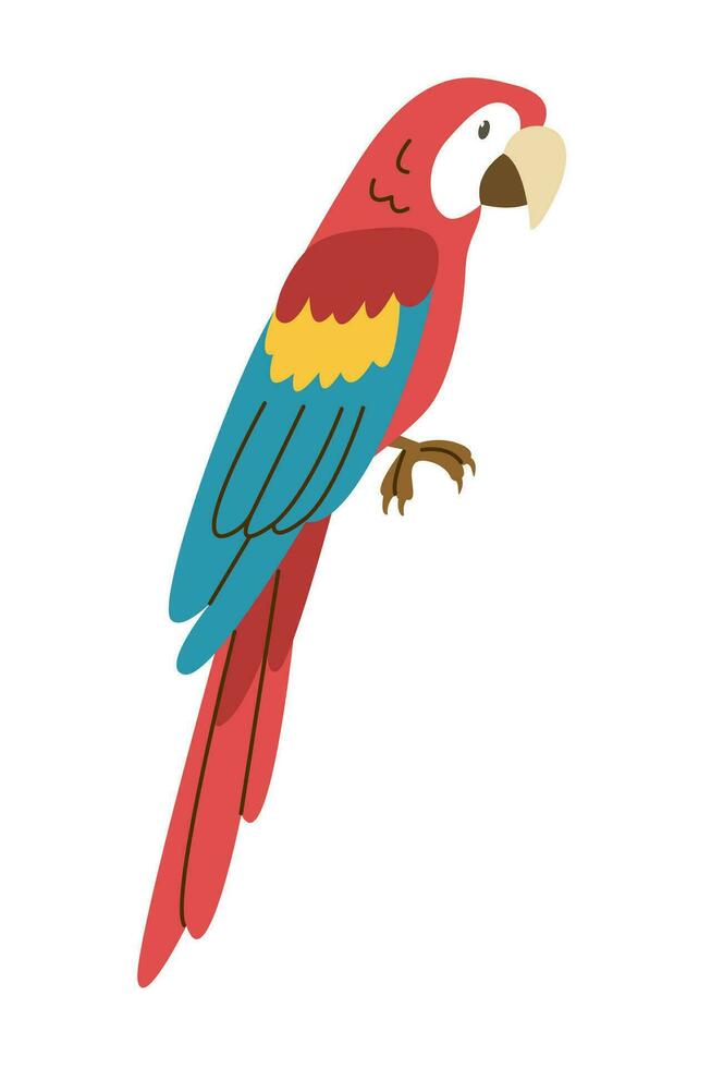 Tropical Ara parrot. Macaw, multicolored feathered bird. Funny exotic multi-colored plumage. Flat vector illustration.