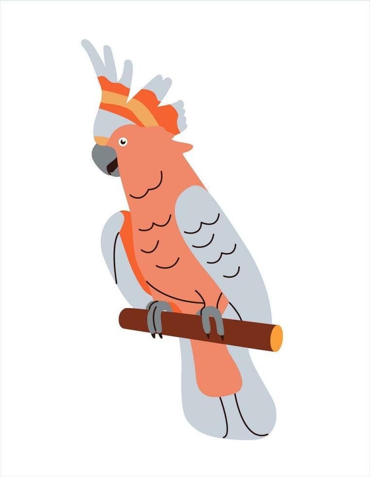 Exotic cockatoo sitting on perch. Cute tropical parrot. Funny amusing jungle bird with crest. Adorable feathered animal. vector