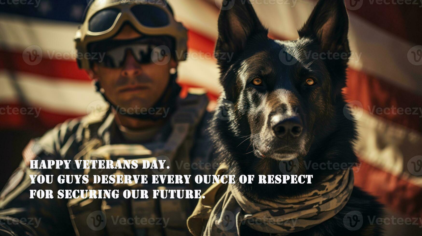 Happy Veterans Day. You guys deserve every ounce of respect for securing our future. photo