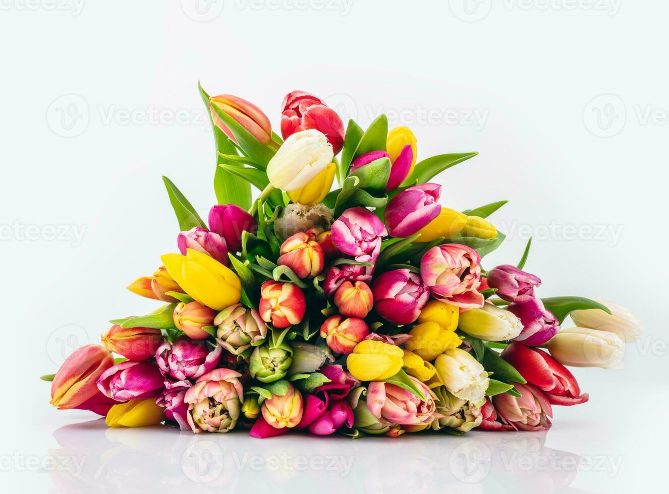 Fresh tulip flowers bouquet on white background with copyspace photo