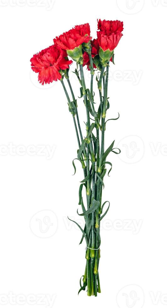 Bunch of wild flowers isolated on white background photo