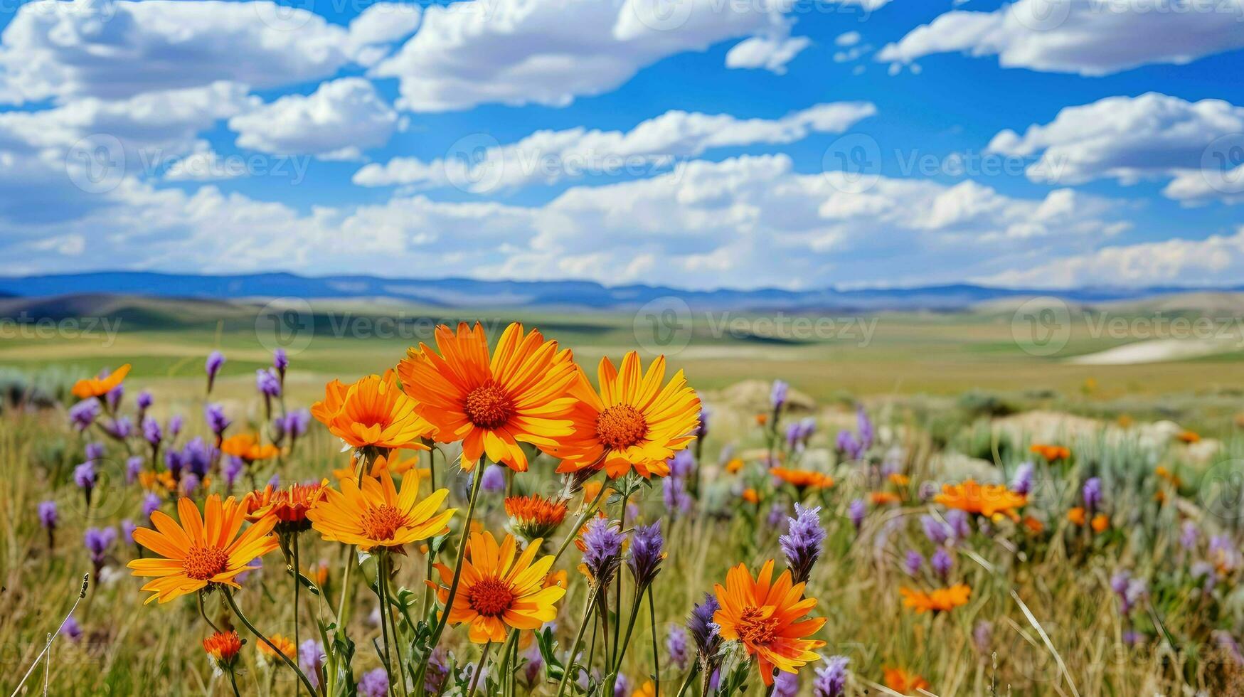 bloom steppe wildflower blooms ai generated photo