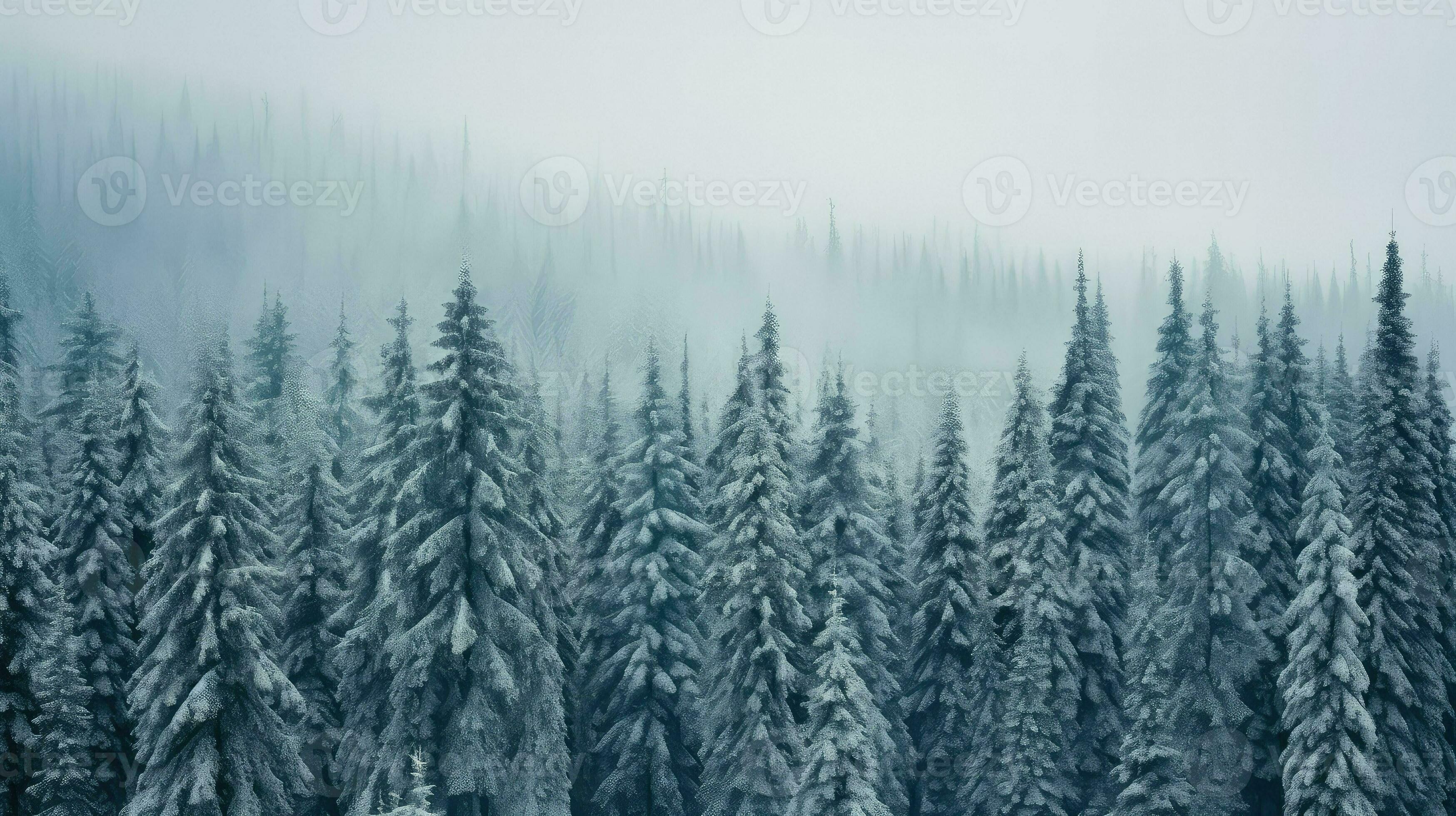 Abiotic Taiga: The Silent Forces Shaping The Boreal Forest - jtw88bj