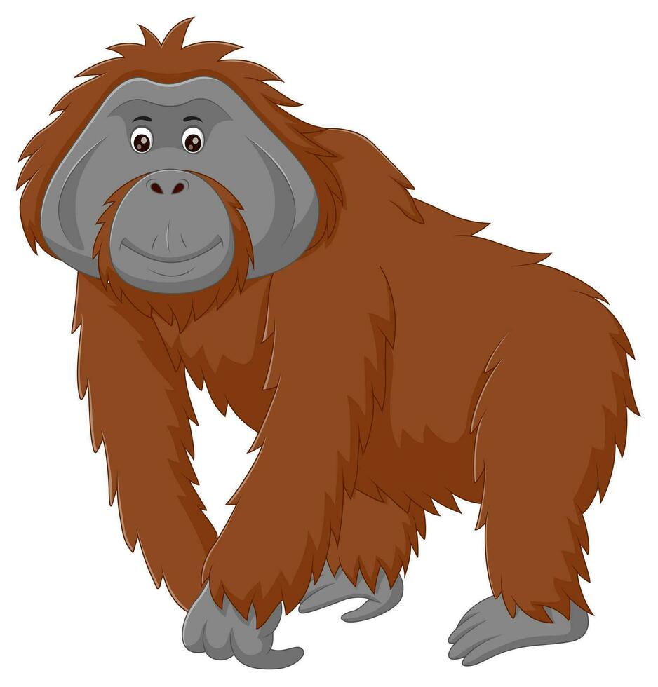 Cute orangutan cartoon isolated on white background. Vector illustration