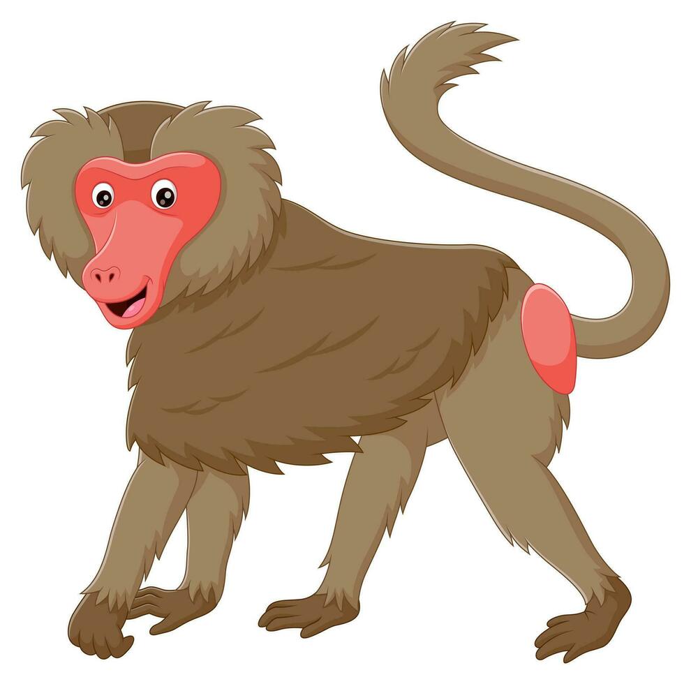 Cartoon funny baboon isolated on white background. Vector illustration