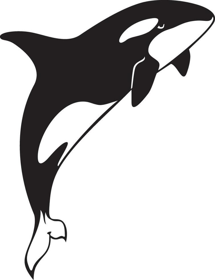 Killer Whale jumping. Orcinus Orca. Vector Illustration.