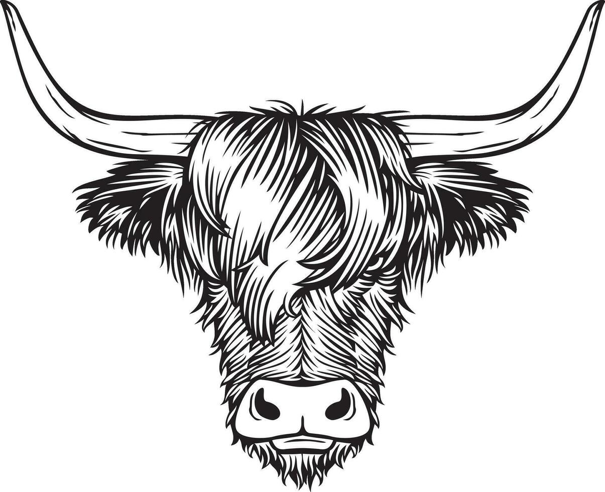 Highland Cow Head Black and White. Scottish Cattle. Vector Illustration.