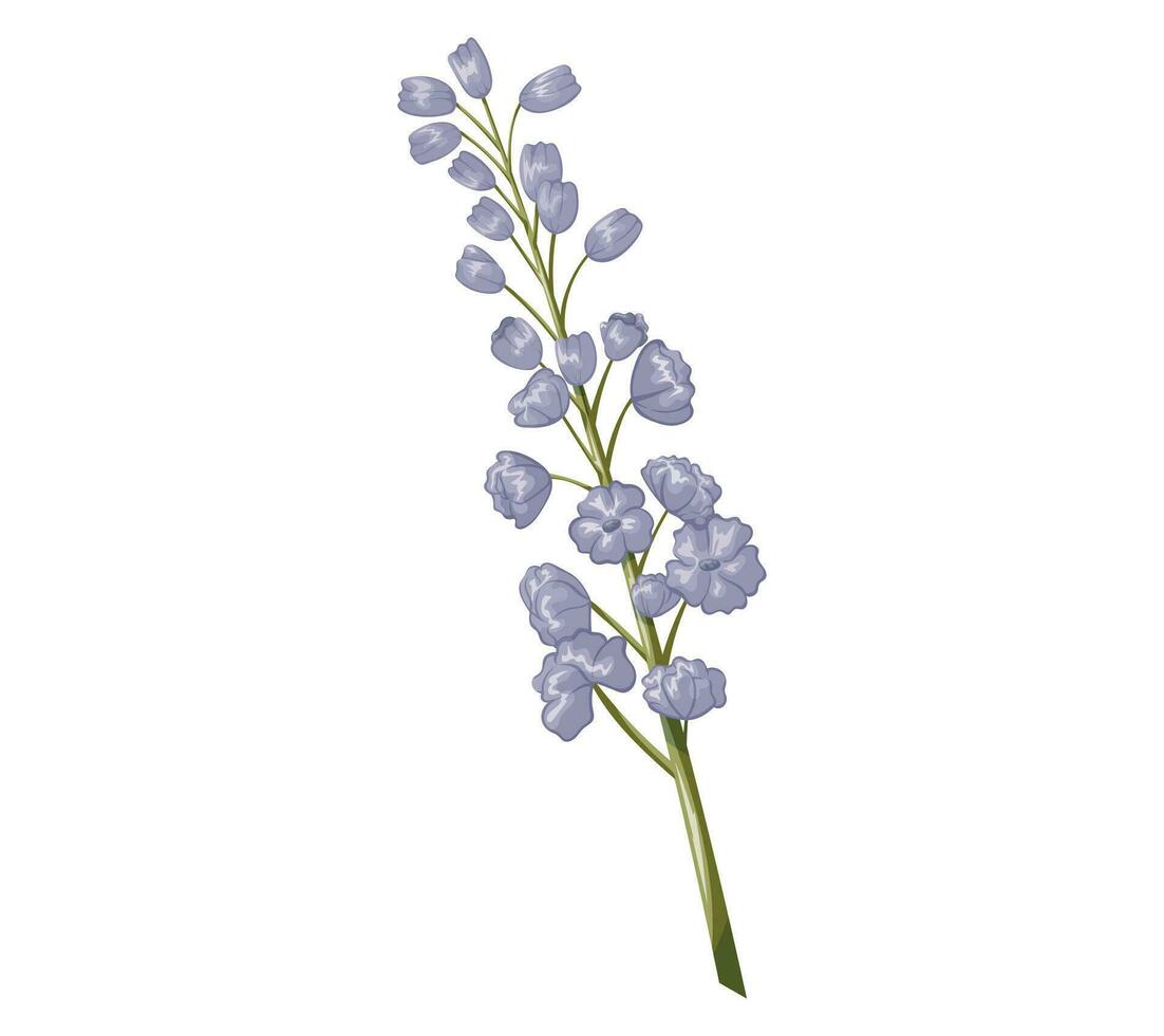 Cartoon purple lupine flower. Vector isolated plant, tender buds on the stem.