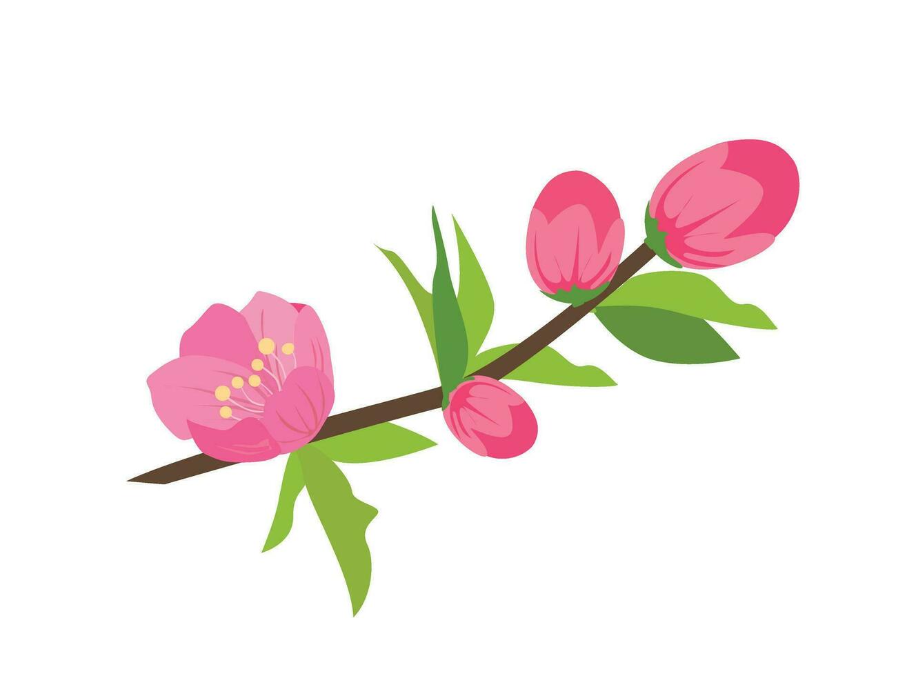 Cartoon peach blossom vector set with flower, leaf, bud, tree branch. Cherry blossom vector. Spring flower.Tet flower. Vietnam traditional new year flower, hoa dao. Flat vector in cartoon style.