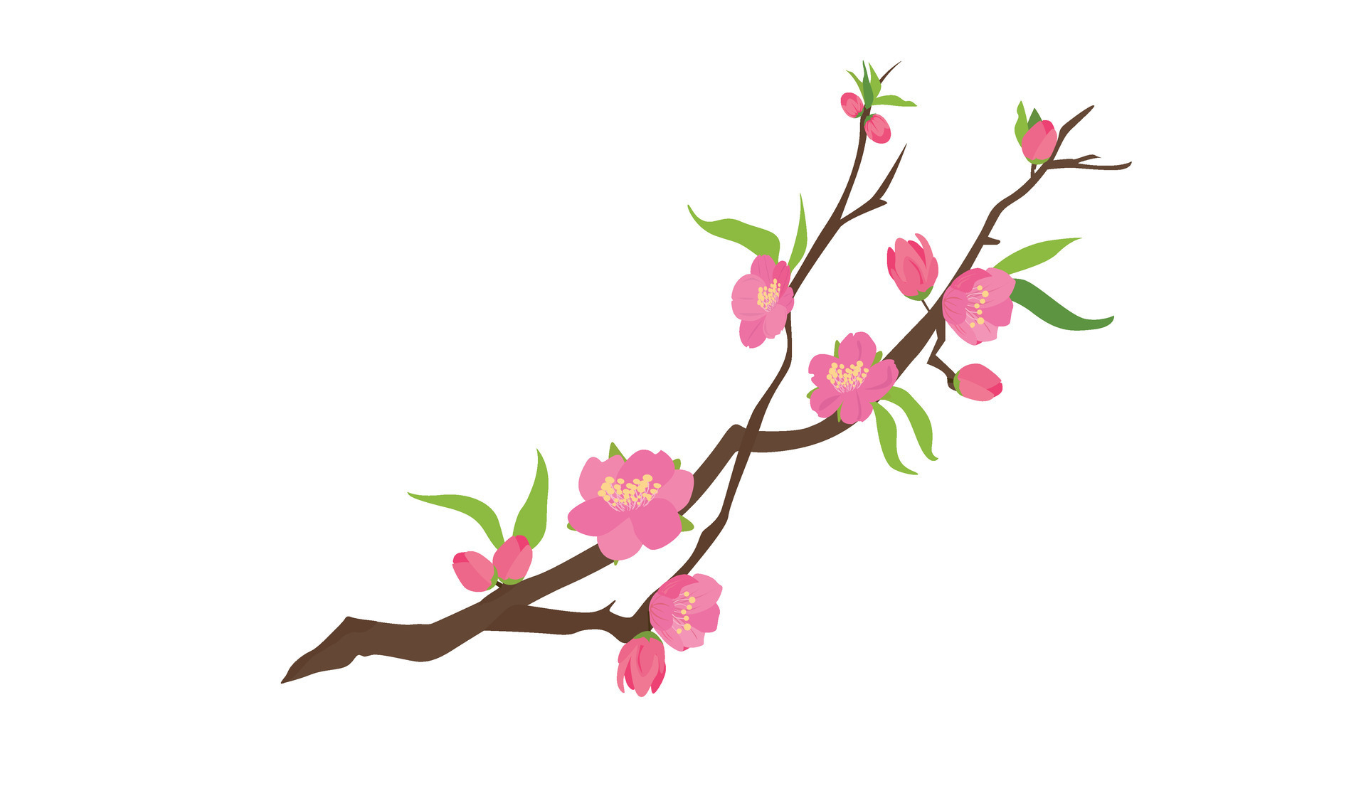 Cartoon peach blossom vector set with flower, leaf, bud, tree branch 
