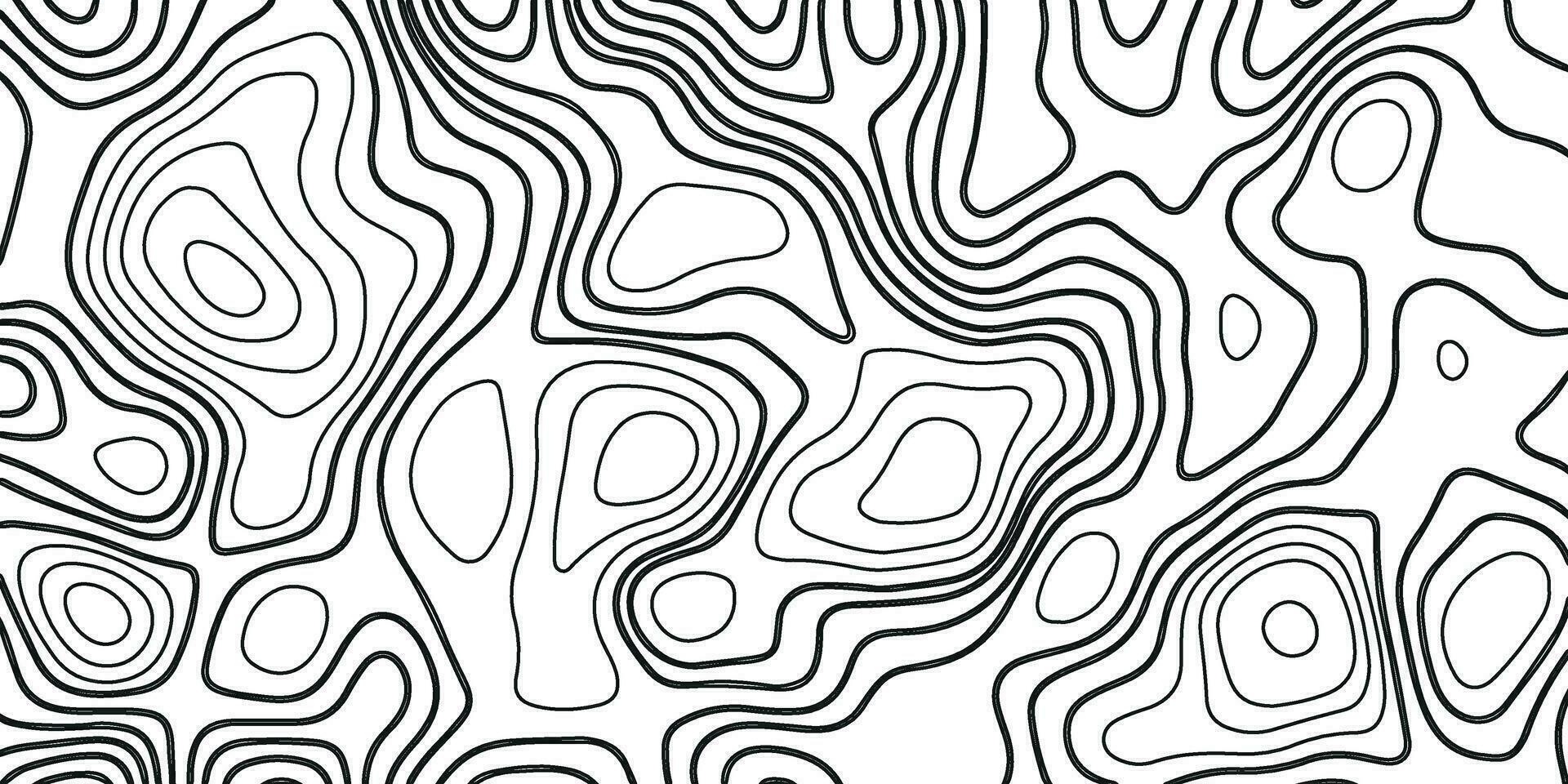 Topographic Black Line Background. Abstract Pattern with Lines vector